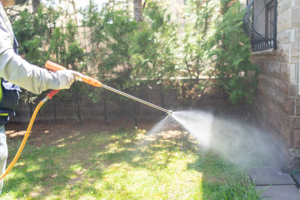 Best Pest Exclusion Services  in Center Point, TX